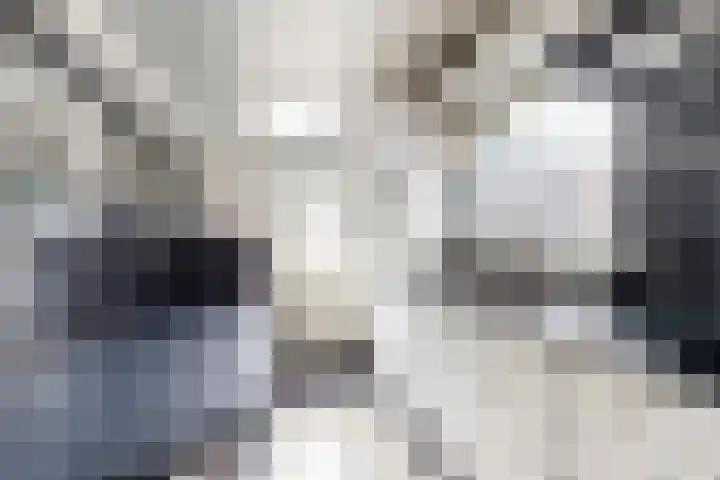 2e Daalsedijk 169 Utrecht thumbnail 21