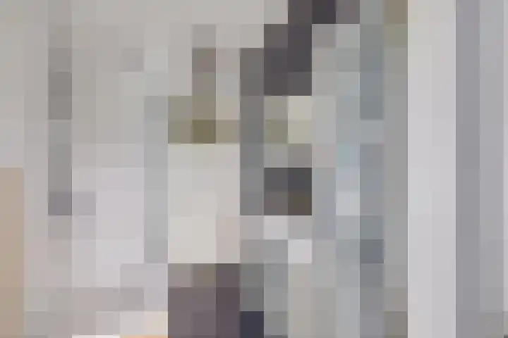 2e Daalsedijk 169 Utrecht thumbnail 24