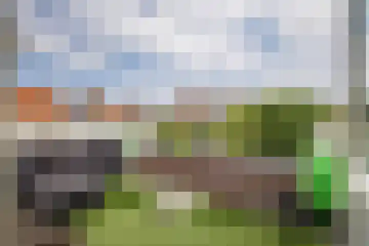 2e Daalsedijk 169 Utrecht thumbnail 25
