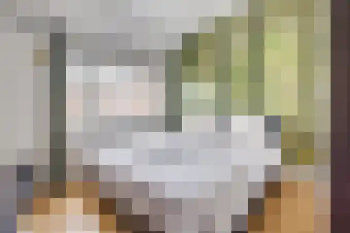2e Daalsedijk 169 Utrecht thumbnail 28
