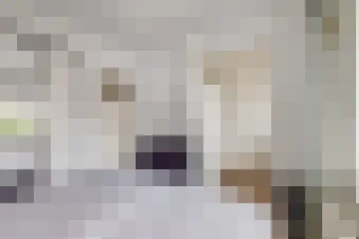 2e Daalsedijk 169 Utrecht thumbnail 30
