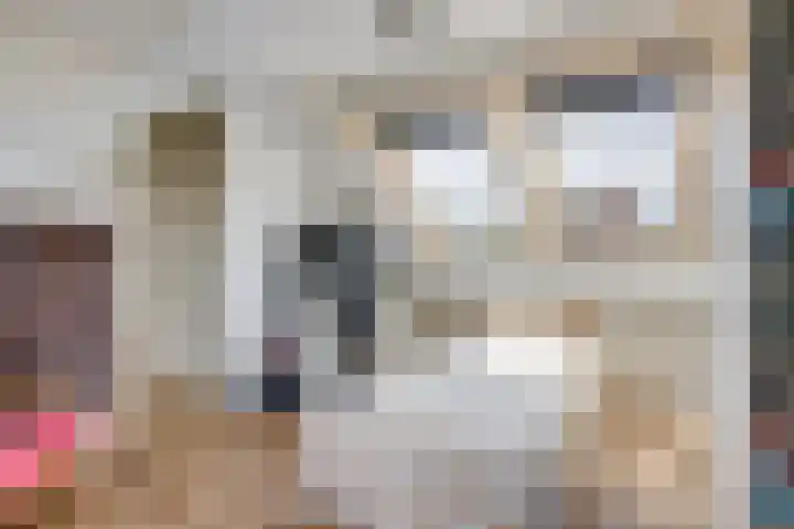 2e Daalsedijk 169 Utrecht thumbnail 32