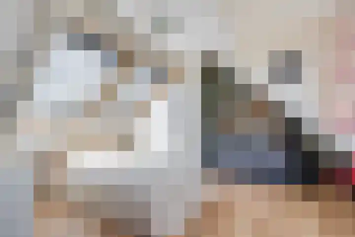 2e Daalsedijk 169 Utrecht thumbnail 34