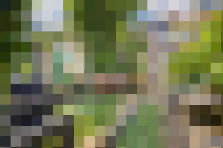 2e Daalsedijk 169 Utrecht thumbnail 38