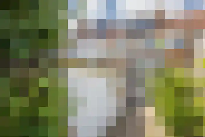 2e Daalsedijk 169 Utrecht thumbnail 39