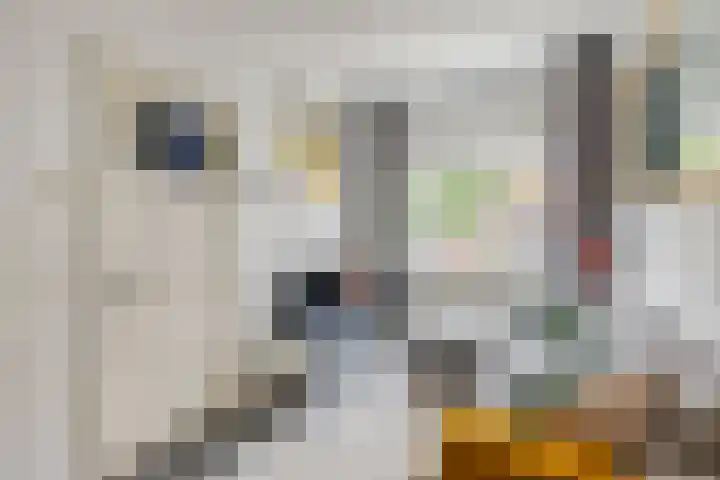 2e Daalsedijk 169 Utrecht thumbnail 4