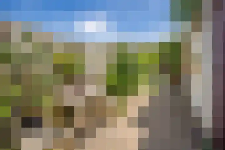 2e Daalsedijk 169 Utrecht thumbnail 40