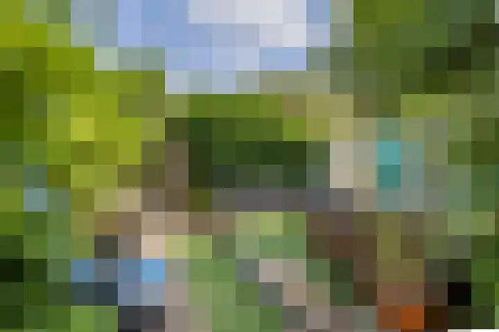 2e Daalsedijk 169 Utrecht thumbnail 41