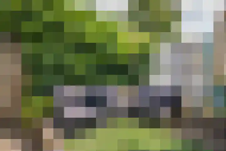 2e Daalsedijk 169 Utrecht thumbnail 42