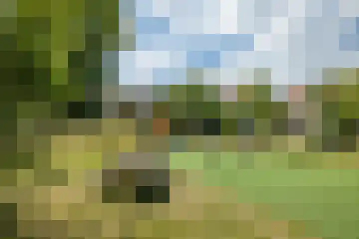 2e Daalsedijk 169 Utrecht thumbnail 47