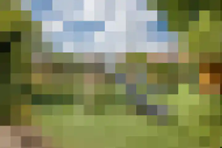 2e Daalsedijk 169 Utrecht thumbnail 48