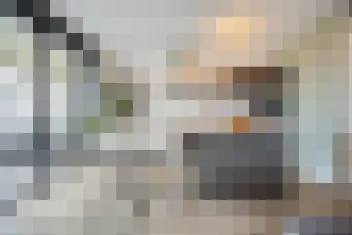 2e Daalsedijk 169 Utrecht thumbnail 7