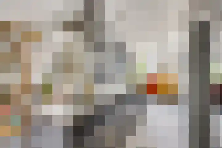 2e Daalsedijk 169 Utrecht thumbnail 8