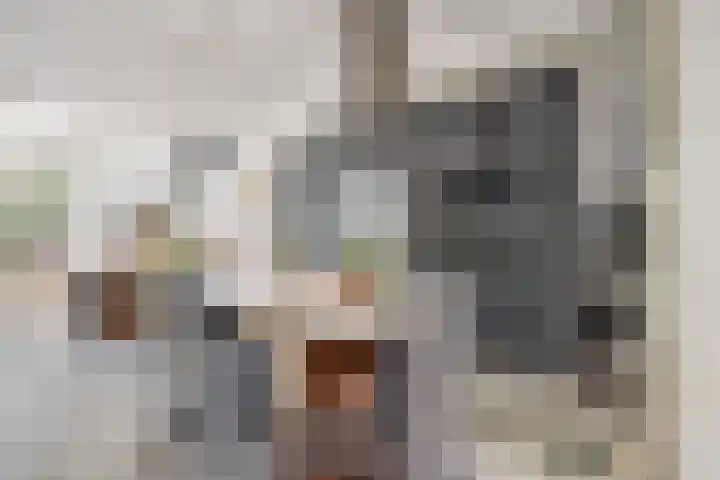 2e Daalsedijk 169 Utrecht thumbnail 9