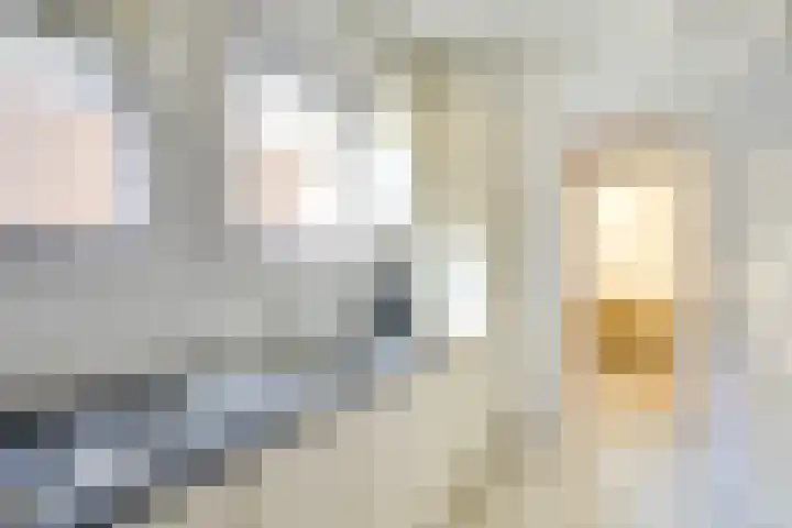 2e Daalsedijk 171 Utrecht thumbnail 17