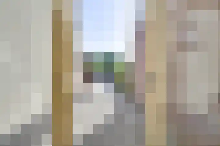 2e Daalsedijk 171 Utrecht thumbnail 19