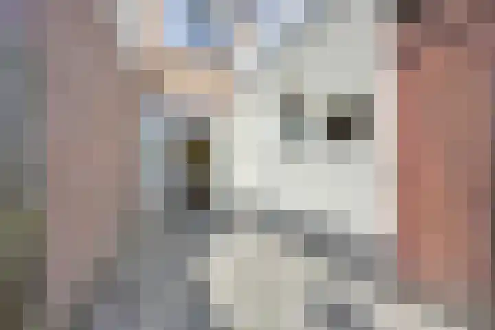 2e Daalsedijk 171 Utrecht thumbnail 20