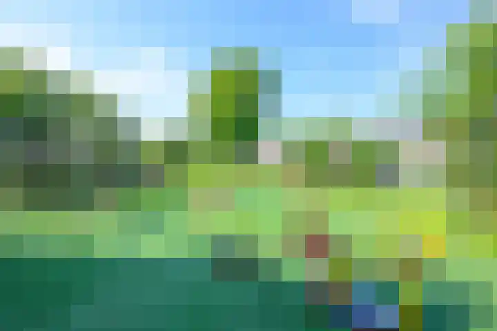 2e Daalsedijk 171 Utrecht thumbnail 23