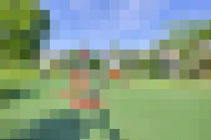2e Daalsedijk 171 Utrecht thumbnail 24