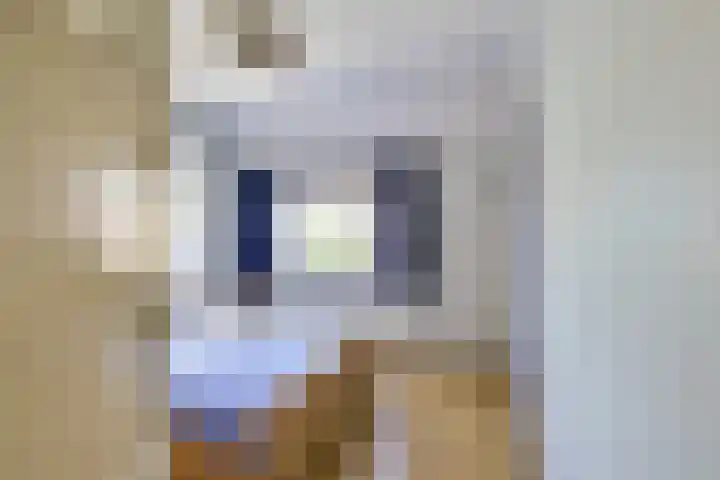 2e Daalsedijk 171 Utrecht thumbnail 26
