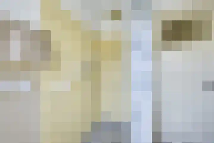 2e Daalsedijk 171 Utrecht thumbnail 32