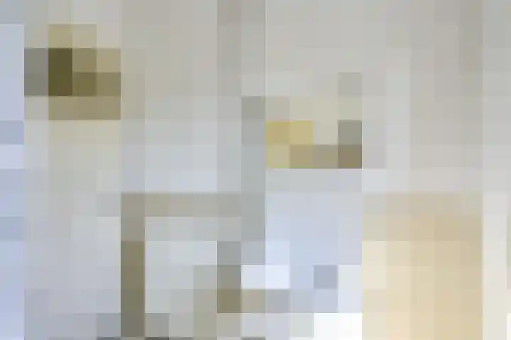 2e Daalsedijk 171 Utrecht thumbnail 33