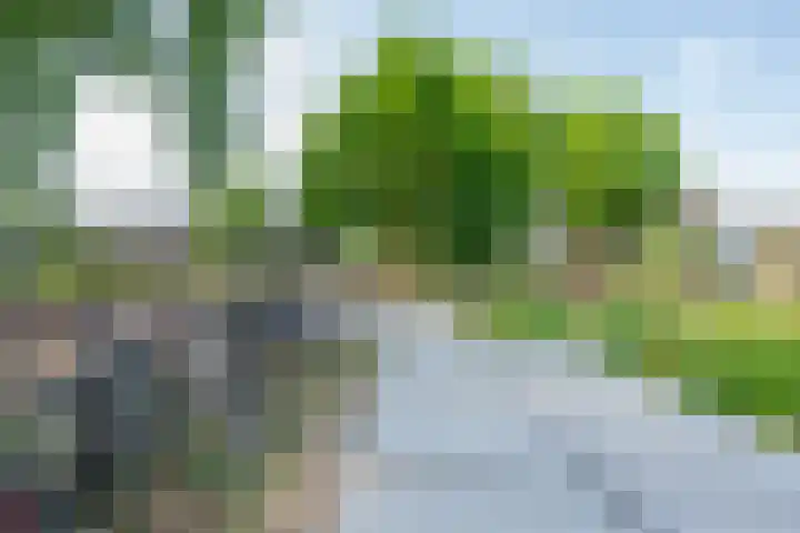 2e Daalsedijk 171 Utrecht thumbnail 51