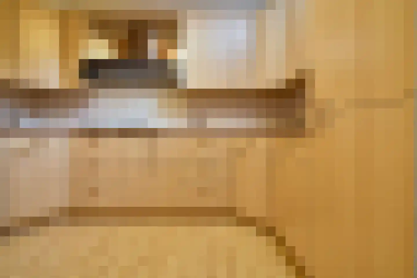 2e Daalsedijk 177 Utrecht thumbnail 14