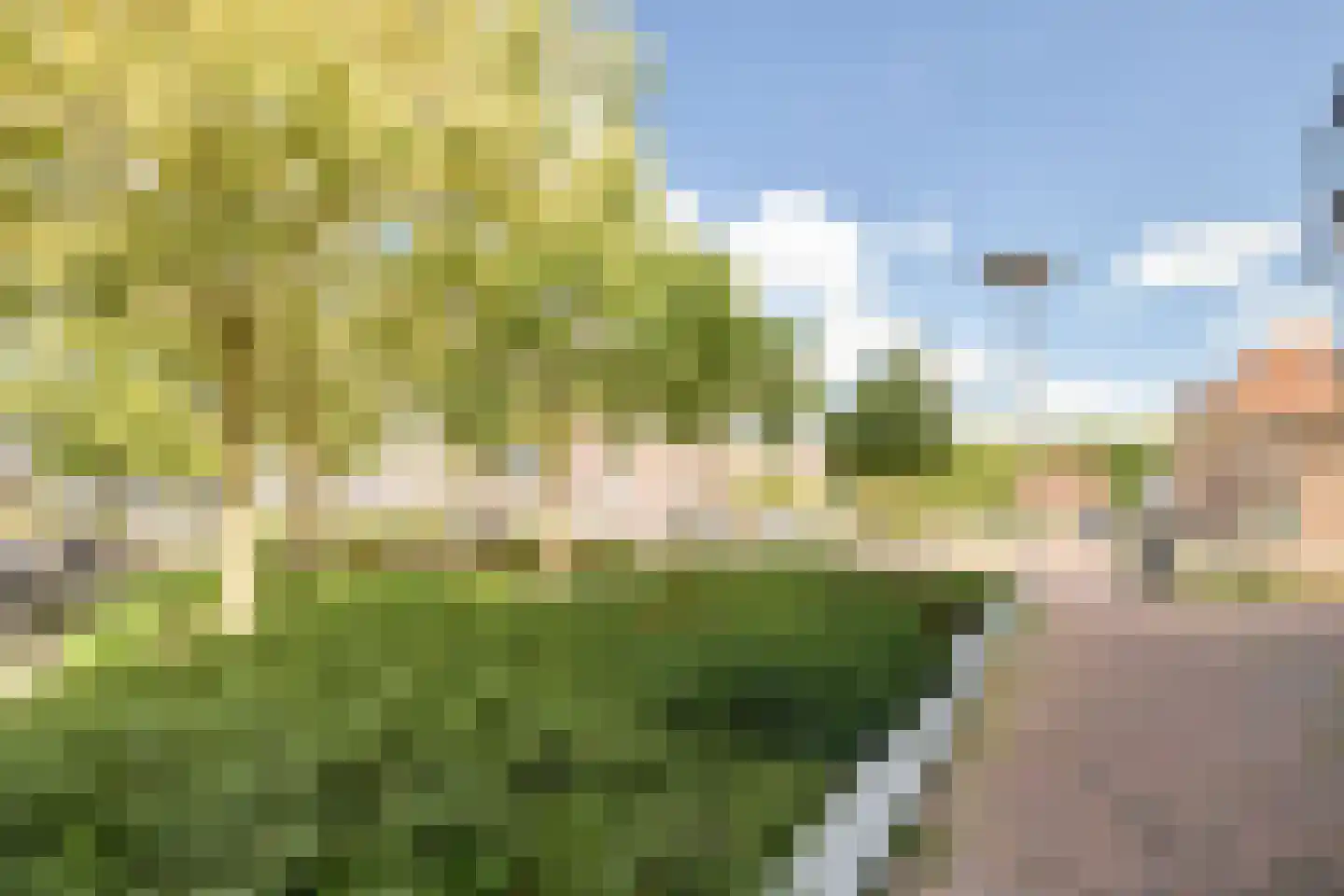2e Daalsedijk 177 Utrecht thumbnail 29