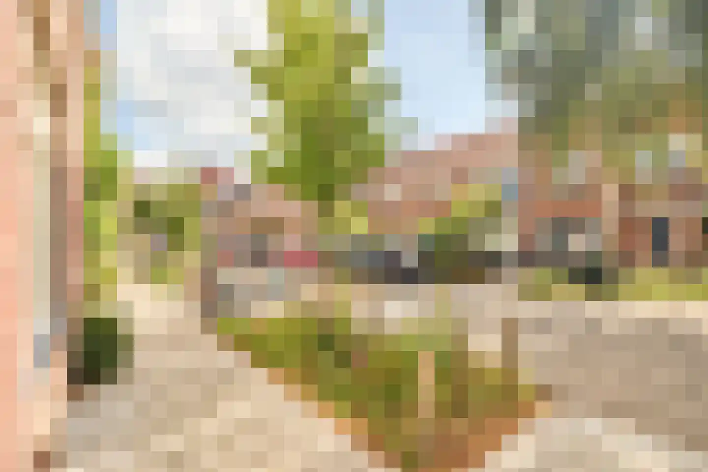 2e Daalsedijk 177 Utrecht thumbnail 31