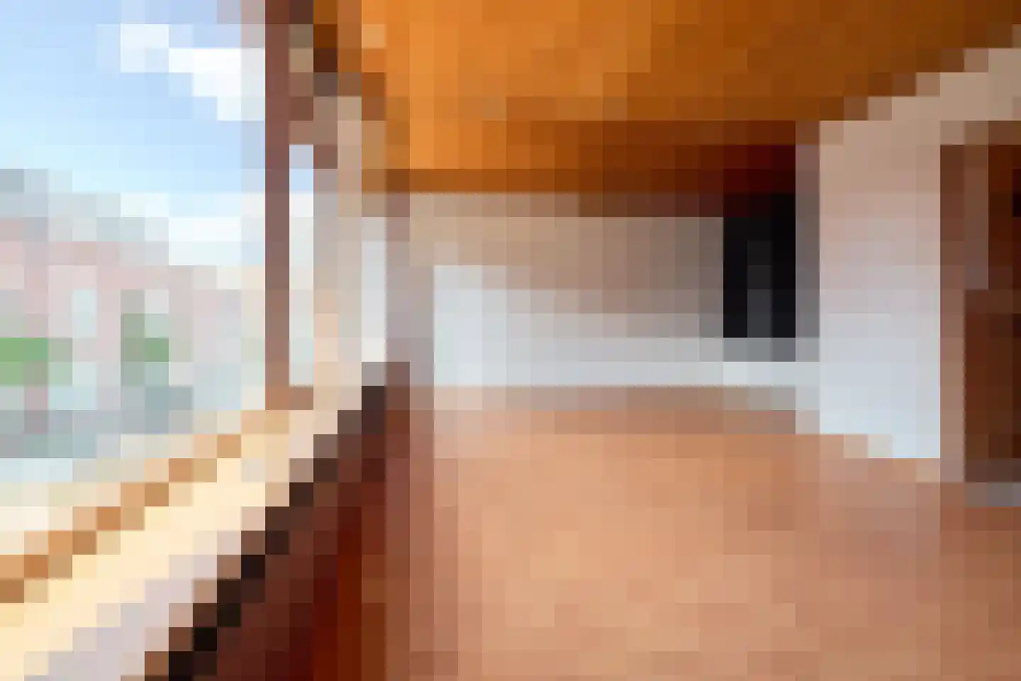 2e Daalsedijk 177 Utrecht thumbnail 4