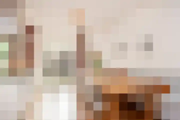 2e Daalsedijk 181 Utrecht thumbnail 11