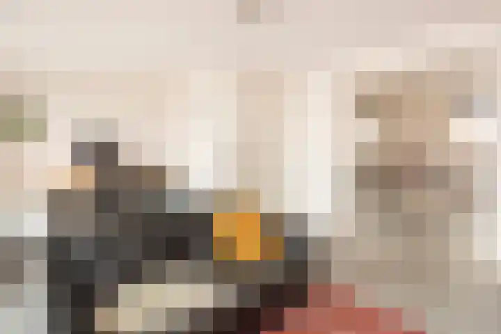 2e Daalsedijk 181 Utrecht thumbnail 32