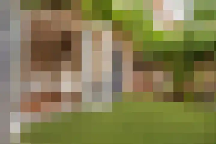 2e Daalsedijk 181 Utrecht thumbnail 43
