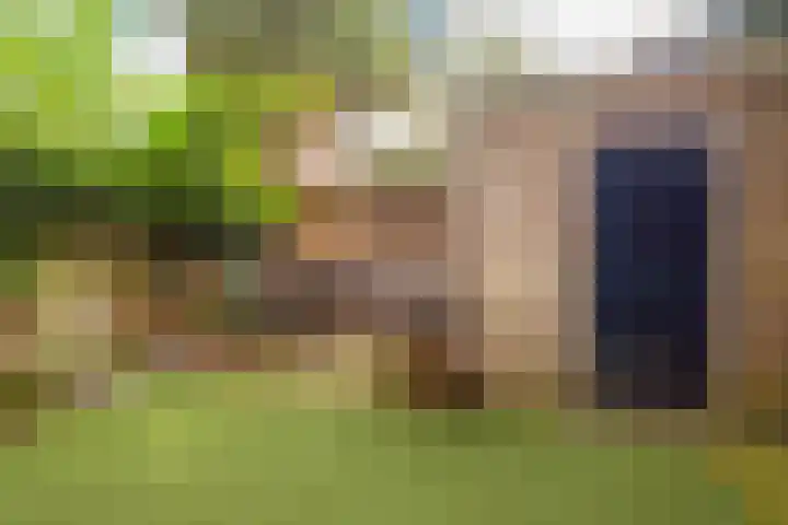 2e Daalsedijk 181 Utrecht thumbnail 45