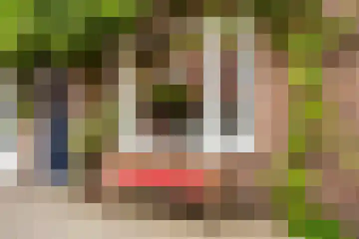 2e Daalsedijk 181 Utrecht thumbnail 48