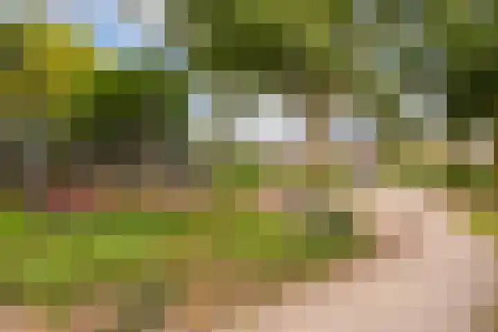 2e Daalsedijk 181 Utrecht thumbnail 50