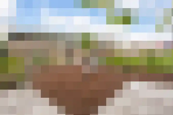 2e Daalsedijk 181 Utrecht thumbnail 51