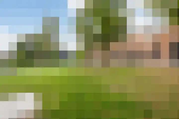 2e Daalsedijk 181 Utrecht thumbnail 52