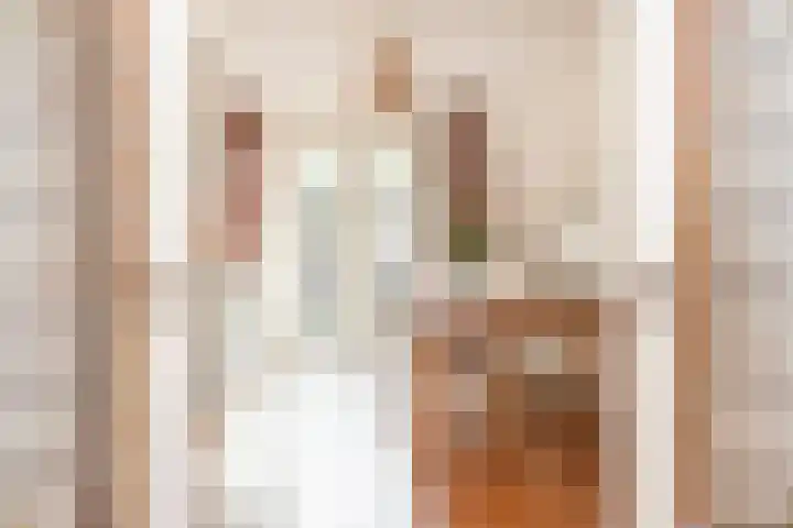 2e Daalsedijk 181 Utrecht thumbnail 9