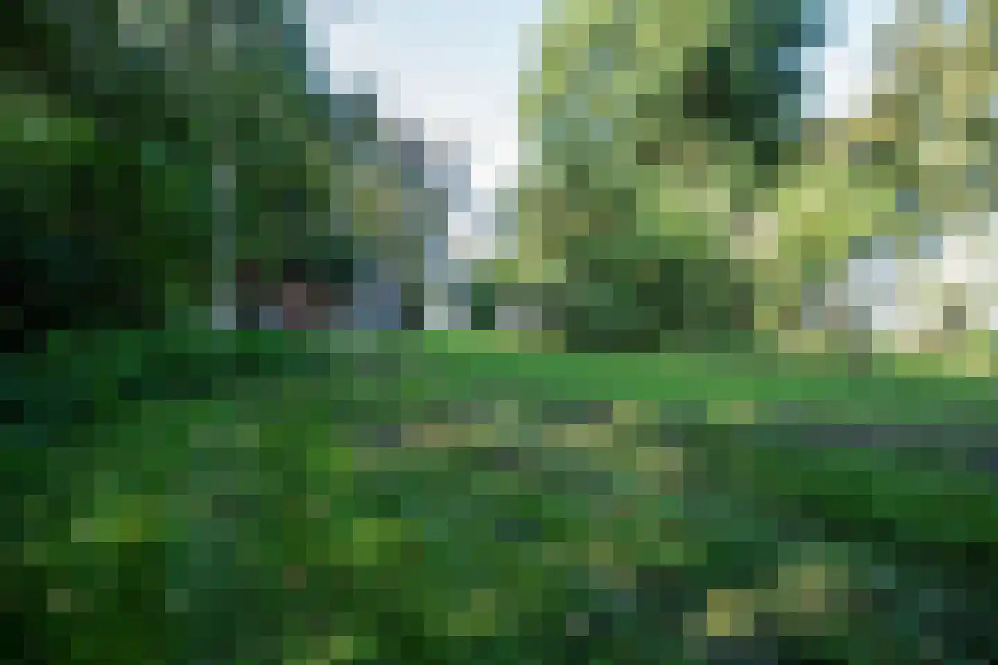 2e Dalweg 10 Vriescheloo thumbnail 10