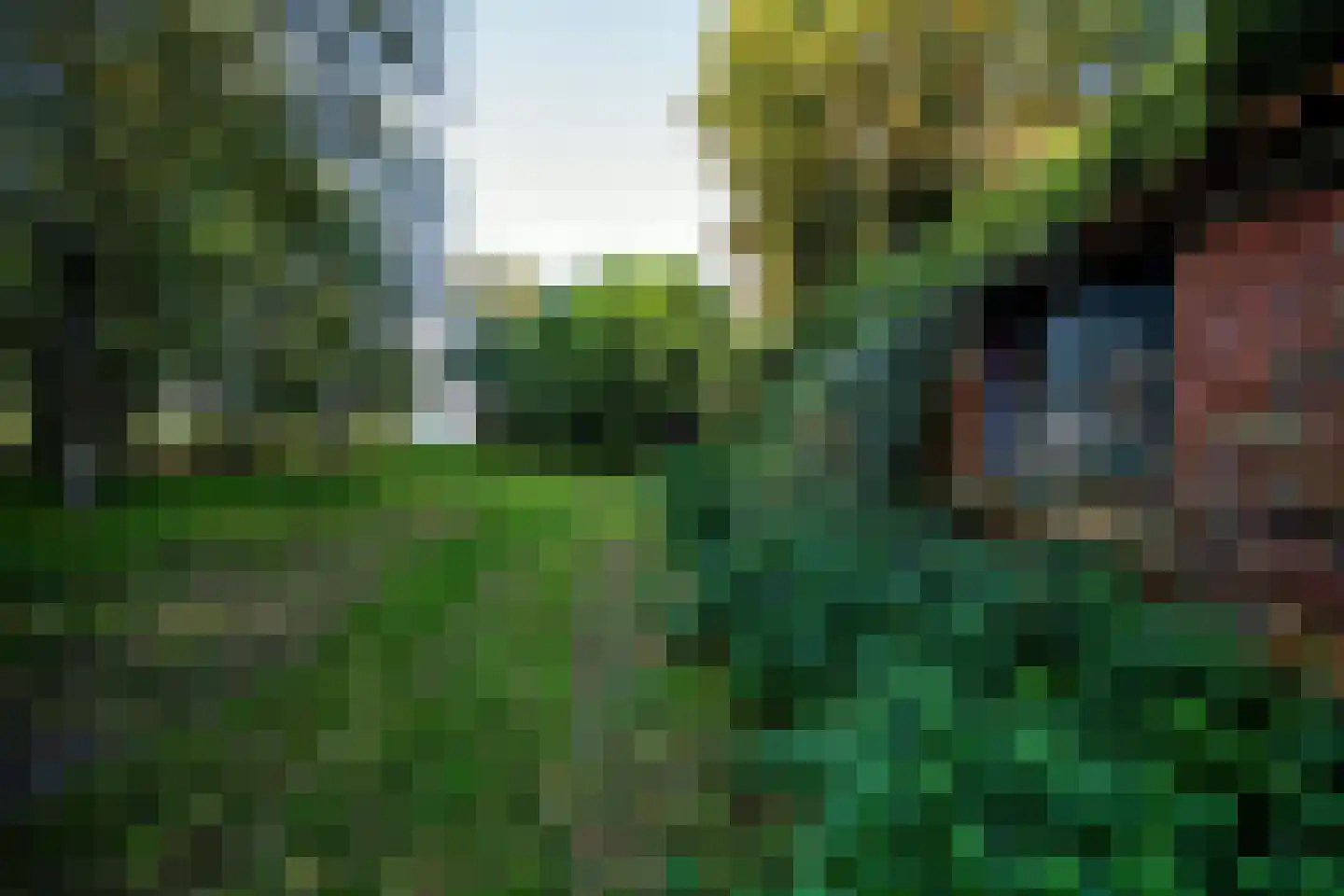 2e Dalweg 10 Vriescheloo thumbnail 11