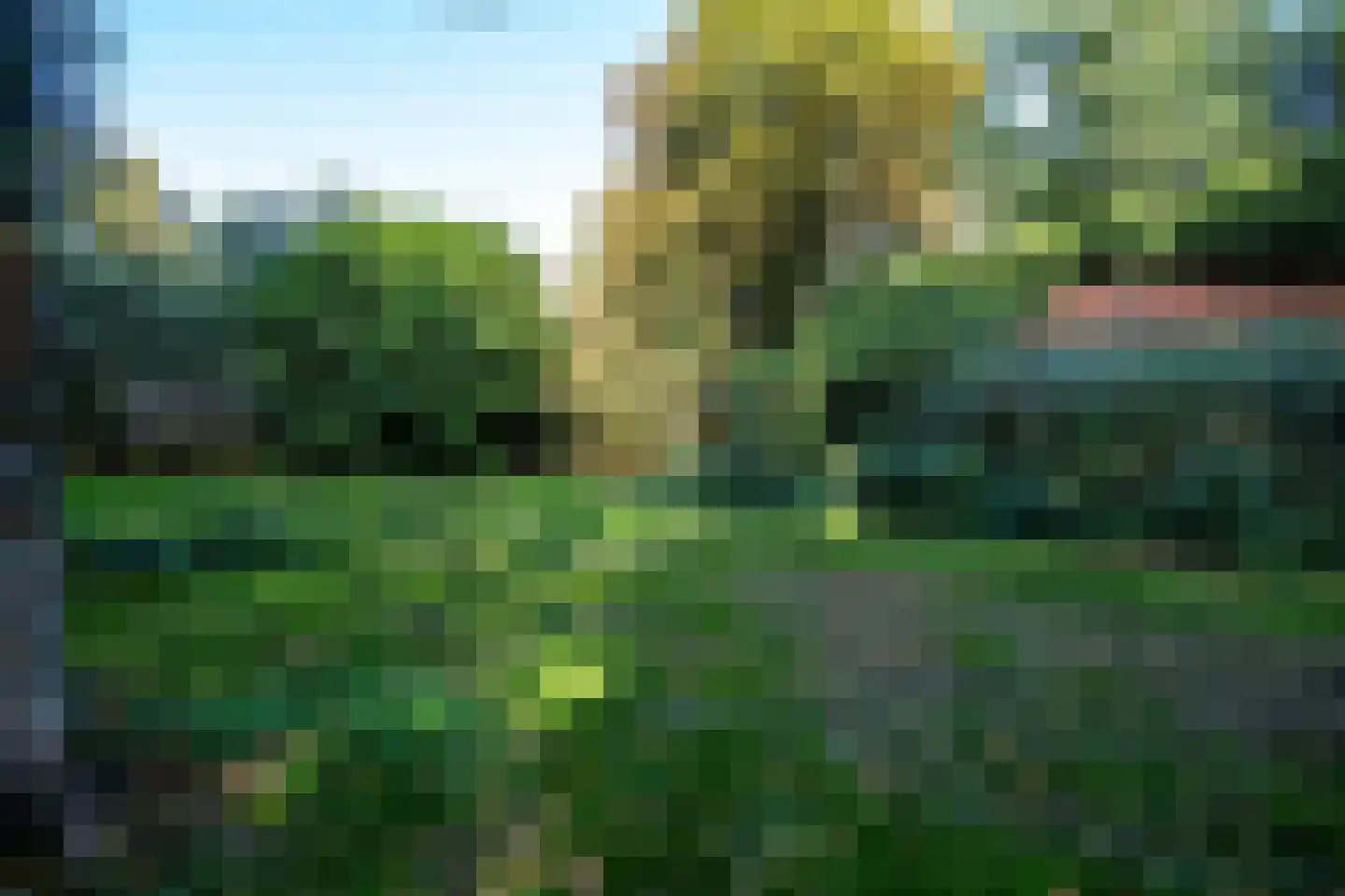 2e Dalweg 10 Vriescheloo thumbnail 12