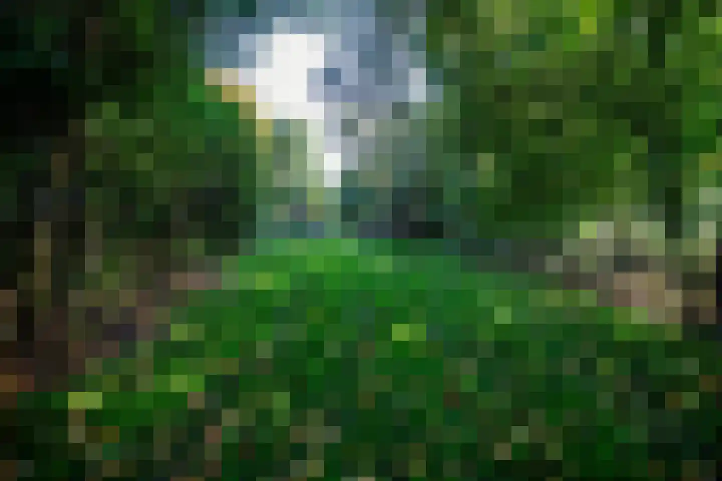 2e Dalweg 10 Vriescheloo thumbnail 13
