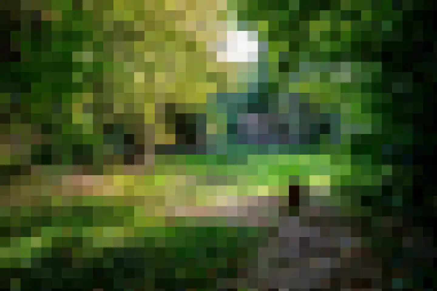 2e Dalweg 10 Vriescheloo thumbnail 14