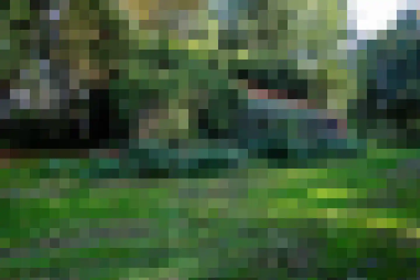 2e Dalweg 10 Vriescheloo thumbnail 15