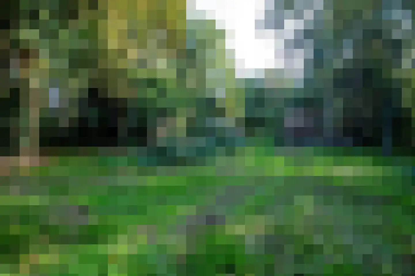 2e Dalweg 10 Vriescheloo thumbnail 16
