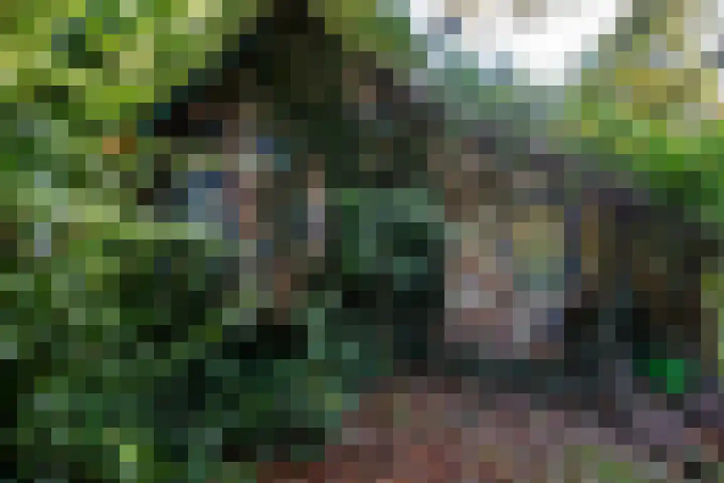 2e Dalweg 10 Vriescheloo thumbnail 17