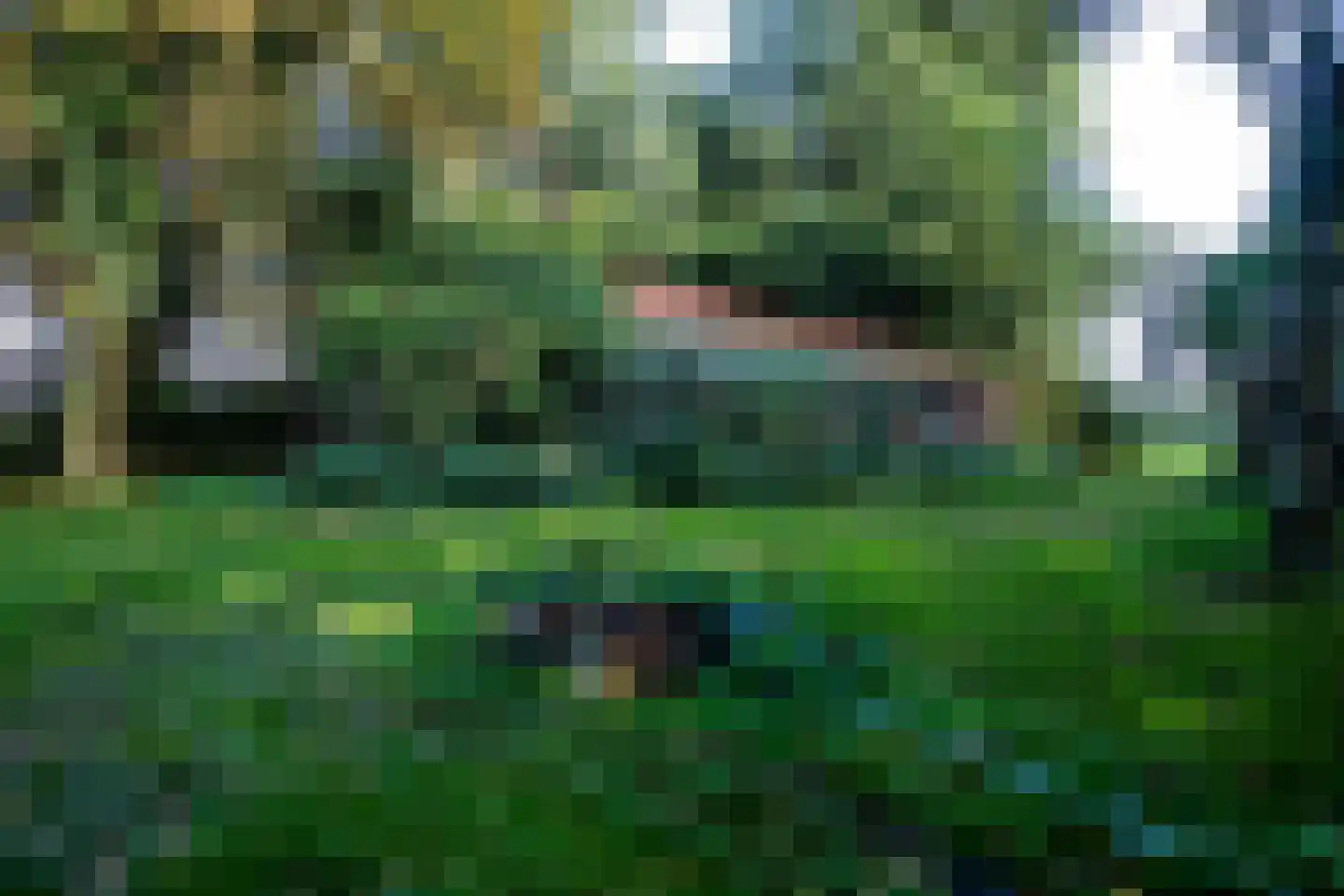 2e Dalweg 10 Vriescheloo thumbnail 18
