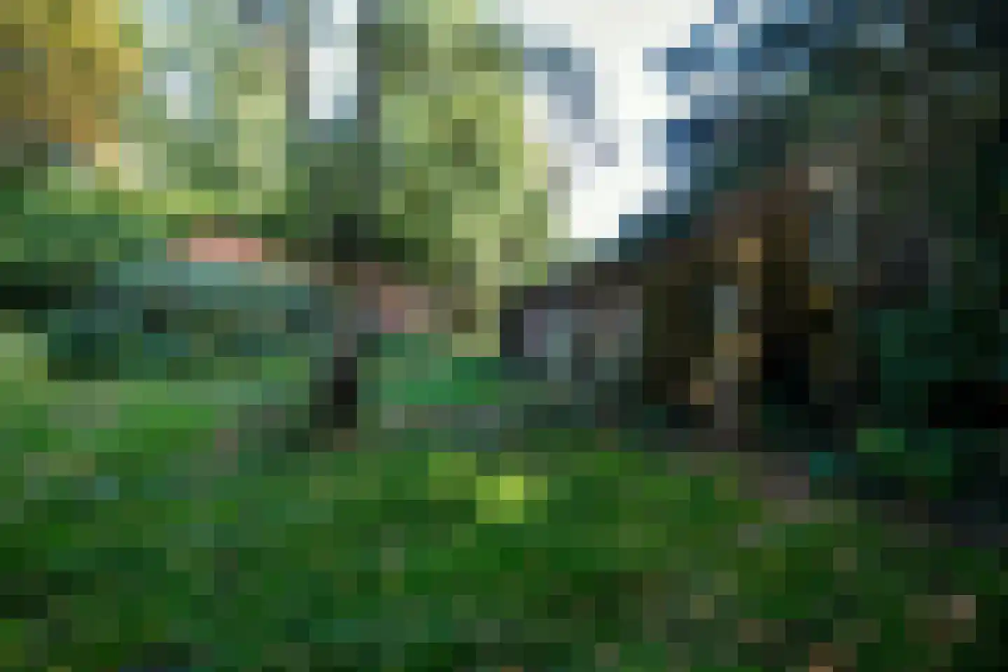 2e Dalweg 10 Vriescheloo thumbnail 19